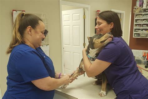 trenton animal hospital